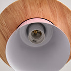 Macaroon Nordic Wood Color Pendant Light