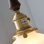 Shanghai Luxe Retro Glass Pendant Light
