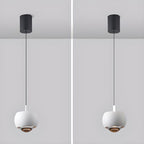 Modern Aluminum Light Ball LED Pendant Light