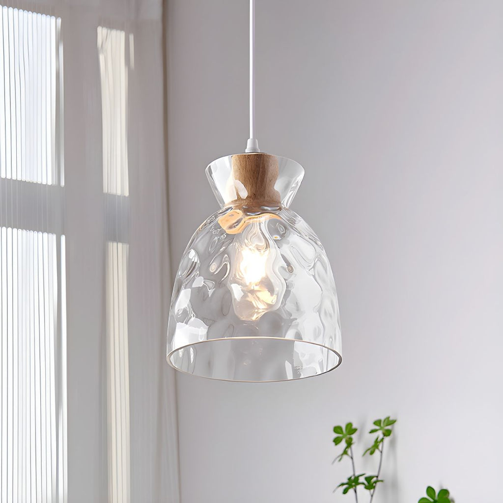 Dane Nordic Clear Glass Pendant Light