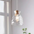 Dane Nordic Clear Glass Pendant Light