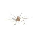 The Fireworks Ceiling Light