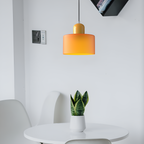 Nordic Iron Body Two-Tone Glass Pendant Light