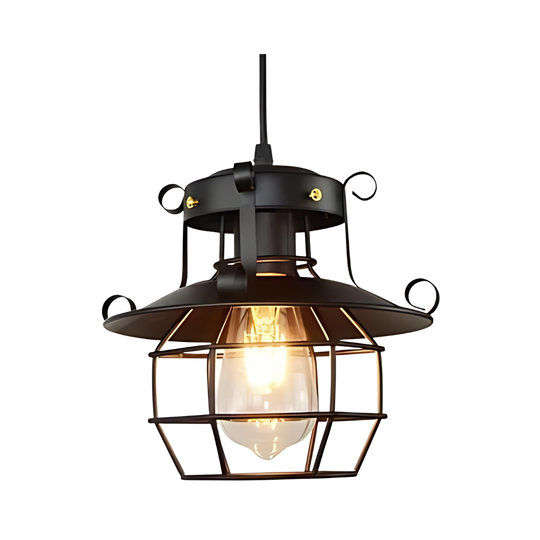 Industrial black cage pendant light, lantern style with Edison bulb, product view