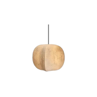 24cm