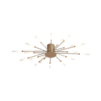 The Fireworks Ceiling Light