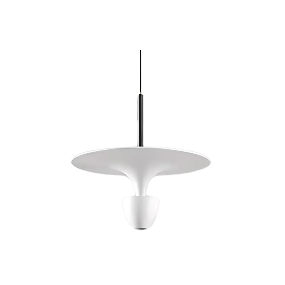The Luminous Pendant Light