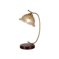 The Jewel of the Evening Gemstone