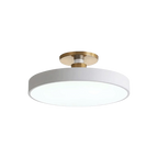 The Serene Halo Ceiling Light
