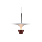 The Luminous Pendant Light