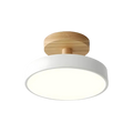 The Luminous Charm
