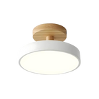 The Luminous Charm