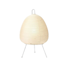 The Light of Sabi Elegant Japanese