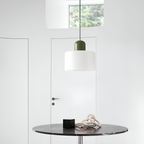 Nordic Iron Body Two-Tone Glass Pendant Light