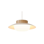 The Creamy Light