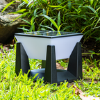 Premium IP65 Waterproof Solar Garden Wall Light