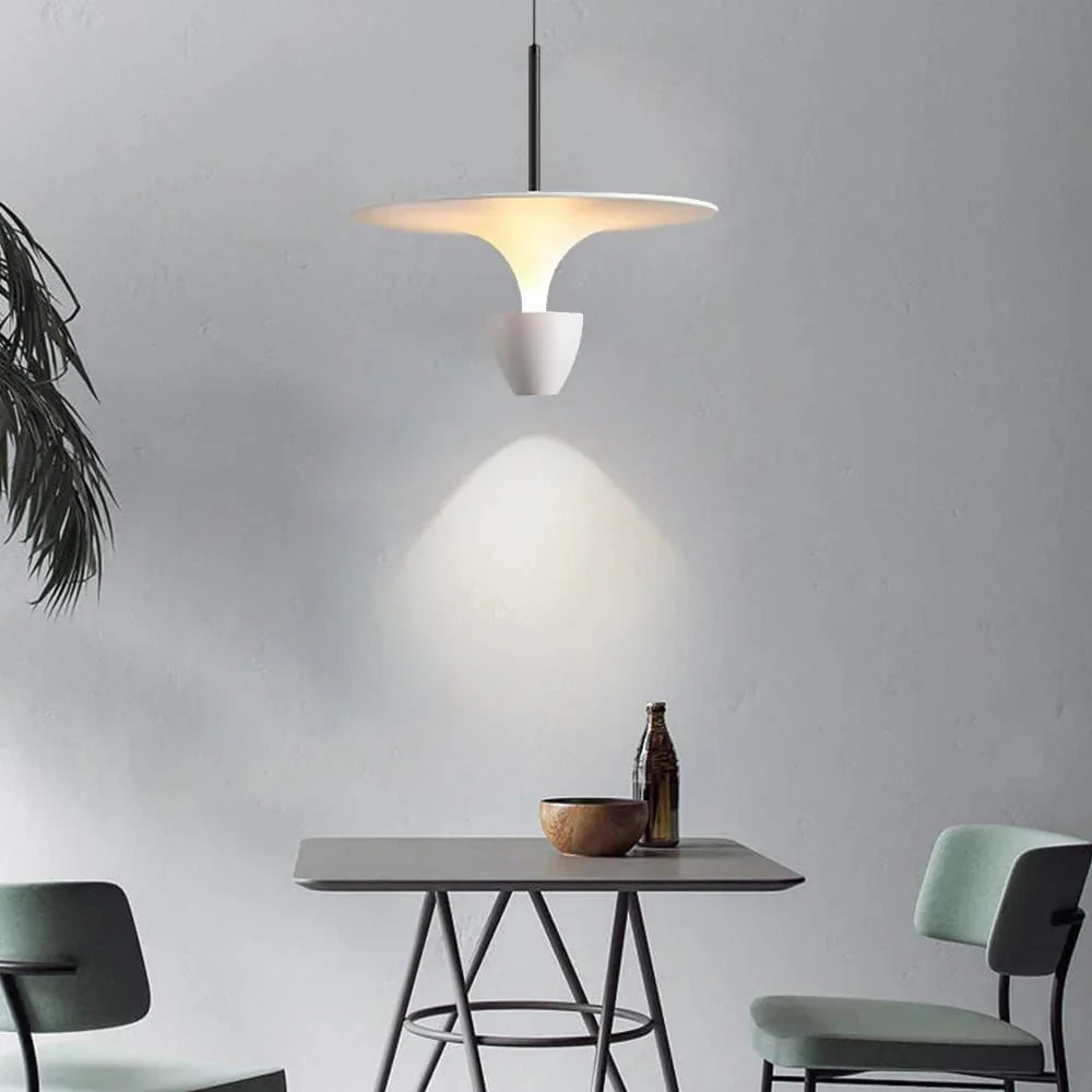 The Luminous Pendant Light
