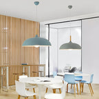 Nordic Style Wood Iron Art Pendant Light