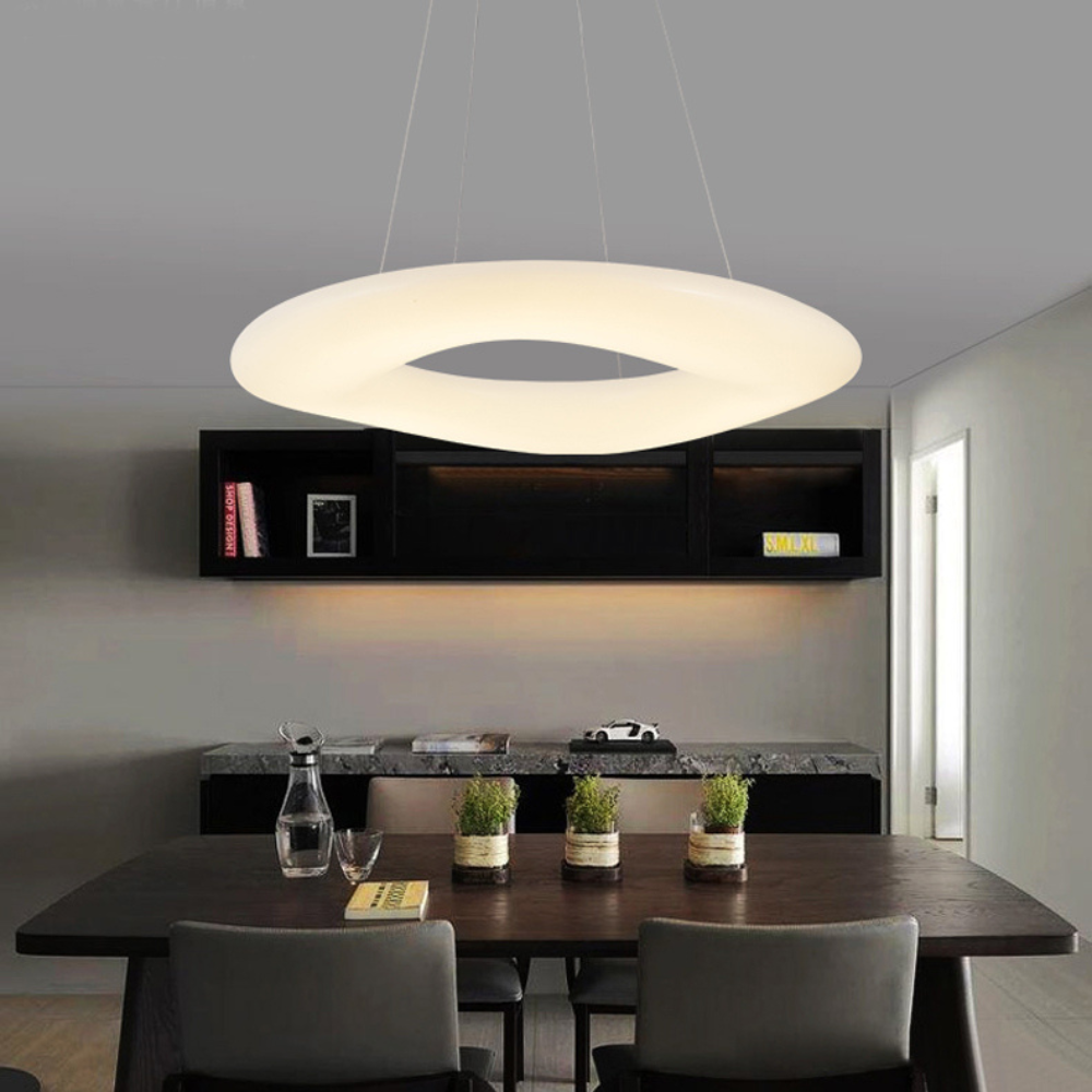 The Halo of Light Pendant Light