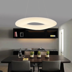 The Halo of Light Pendant Light