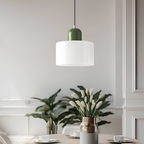 Nordic Iron Body Two-Tone Glass Pendant Light