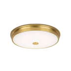 Moonlight Soft Glow Ceiling Light