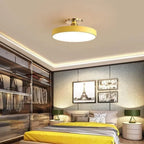 The Serene Halo Ceiling Light