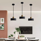 The Refined Scandi Ceiling Light