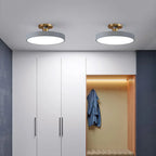 The Serene Halo Ceiling Light