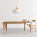 Scandinavian Creative Pendant Light