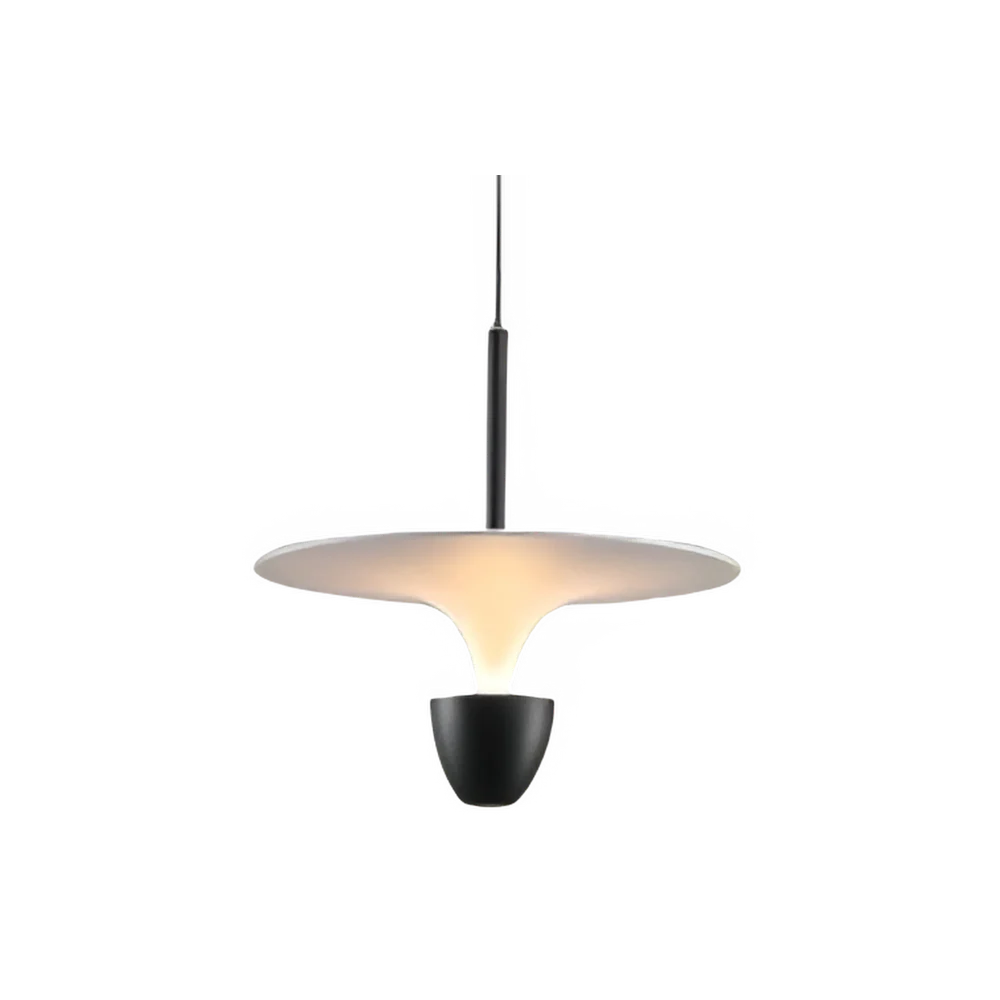 The Luminous Pendant Light