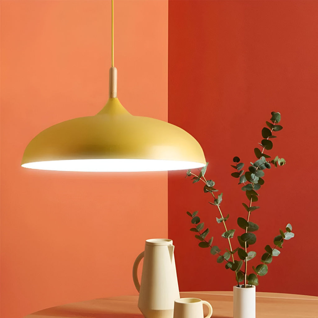 Nordic Style Wood Iron Art Pendant Light