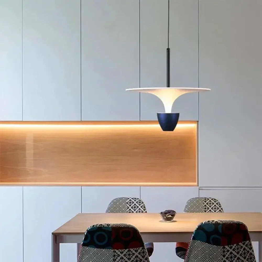The Luminous Pendant Light