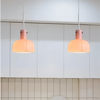 Nordic Flower Shaped Glass Pendant Light