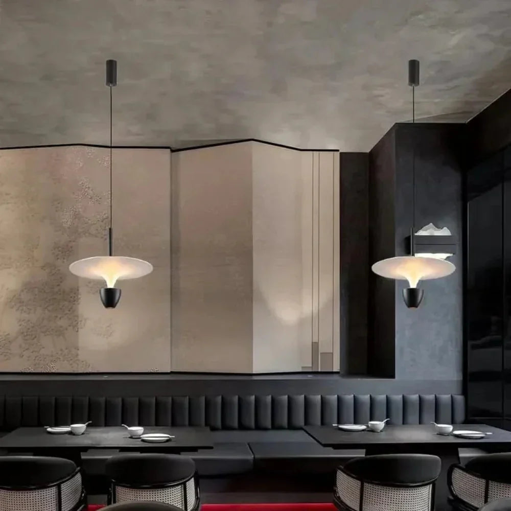 The Luminous Pendant Light