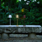 Wireless Golden Radiance  IP65 Waterproof Outdoor Wall Light