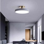The Serene Halo Ceiling Light