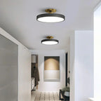 The Serene Halo Ceiling Light