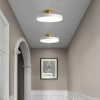 The Serene Halo Ceiling Light