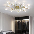 The Fireworks Ceiling Light
