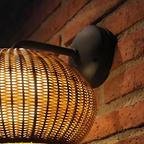 The Wild Glow Wall Light