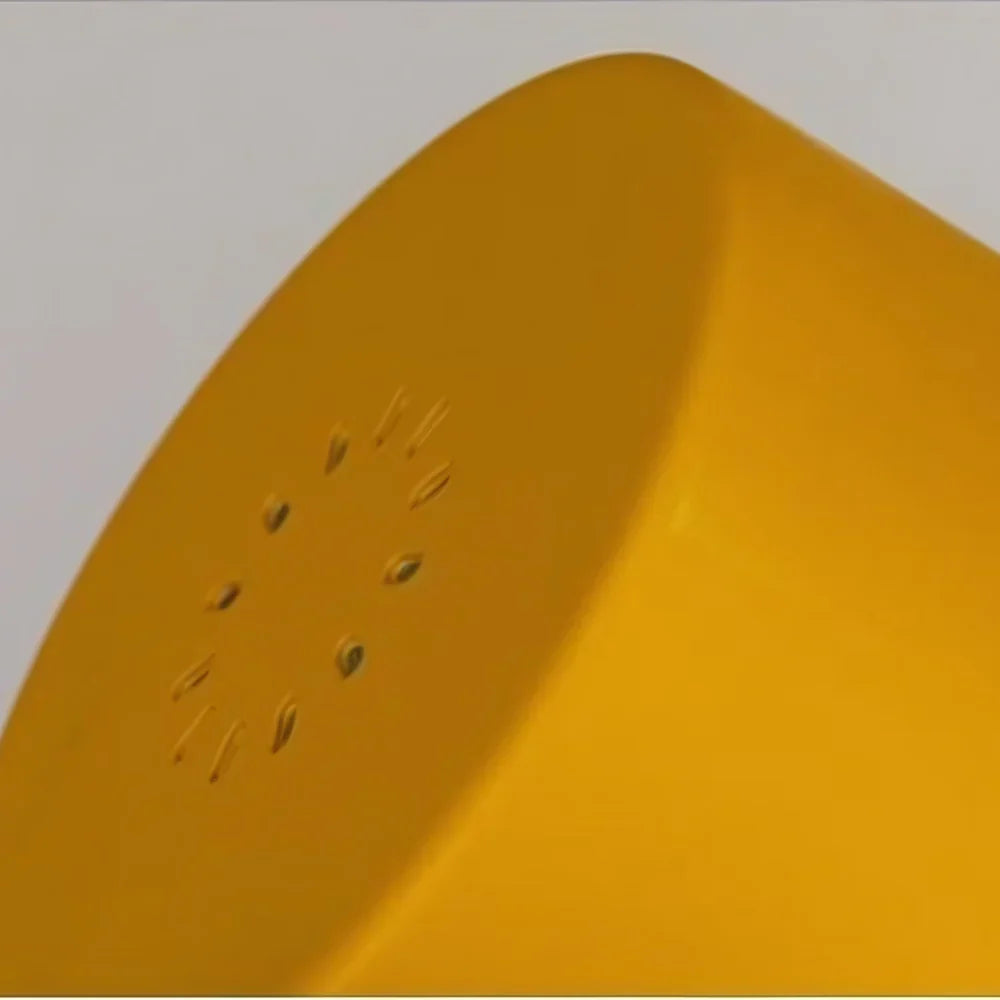 The Sunrise Adjustable  Wall Light