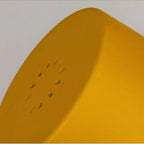 The Sunrise Adjustable  Wall Light