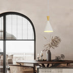 Workshop Suspension Ceiling Light