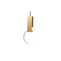 Evening Glow Ring Pendant Light