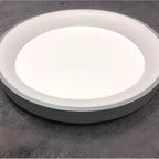 Nordic Modern Ring Shaped LED Ceiling Light