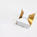 The Master of Light IP65 Waterproof Outdoor Wall Light