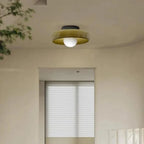 Nordic Glass Olive Disc Wall and Ceiling Light