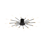 The Fireworks Ceiling Light