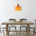 Nordic Iron Body Two-Tone Glass Pendant Light